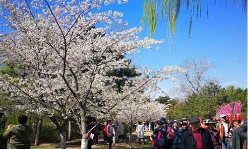 09年北京清明节旅游路线_北京清明节旅游