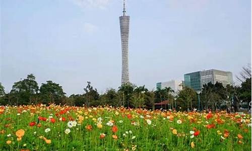 宏城公园观花植物种植_宏城公园观花植物种植基地