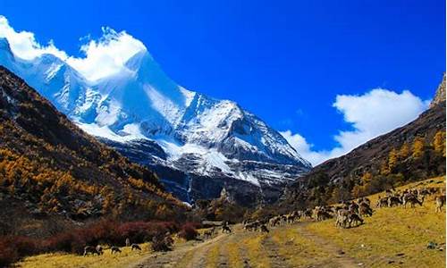 稻城亚丁旅游攻略一份_稻城亚丁旅游攻略大全