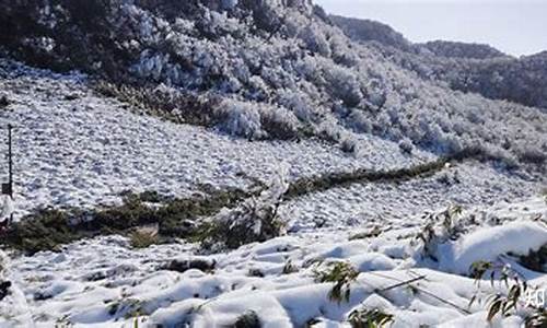 重庆到金佛山路线怎么走的呀多少钱_重庆到金佛山路线怎么走的呀