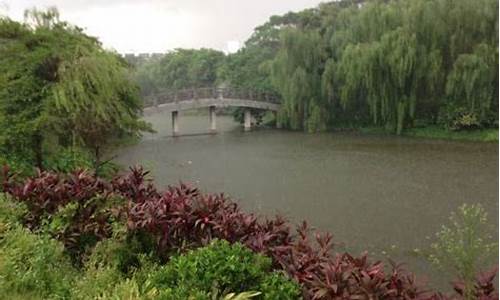 广州石马桃花公园公交线路_广州石马桃花公园