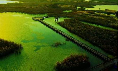 杭州湾湿地公园门票价格_杭州湾湿地公园游玩时间