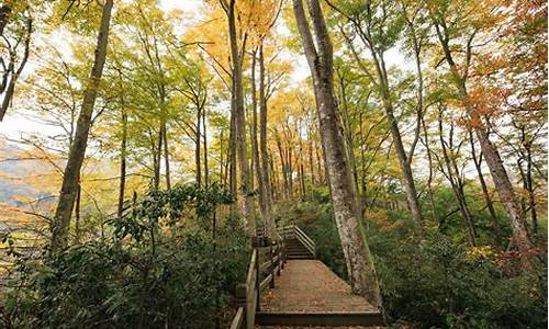 光雾山旅游攻略自驾游路线_光雾山旅游攻略自驾游路线图