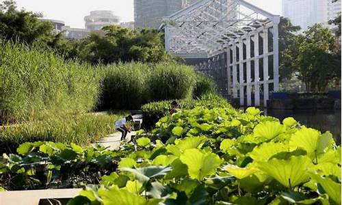 中山岐江公园景观规划设计_中山岐江公园生态修复