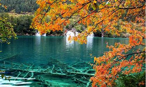 九寨沟高铁站到九寨沟景区多远_九寨沟九寨沟