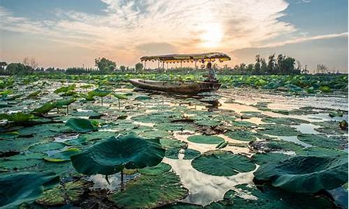 白洋淀风景区_白洋淀风景区天气预报