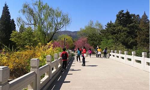 北京植物园攻略一日游_北京植物园攻略