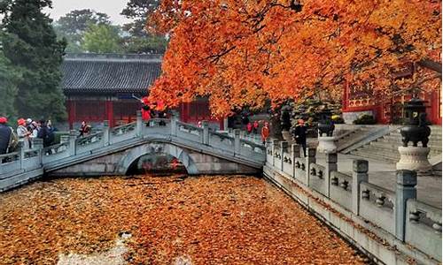 北京香山旅游攻略一日游_北京香山旅游攻略一日游路线