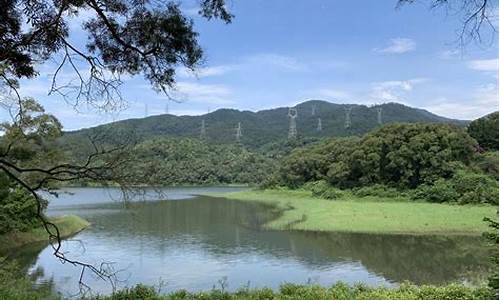 天竺山森林公园生态区位_天竺山森林公园生态区位于哪里