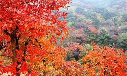 北京香山公园游览图_北京香山公园游览图和攻略