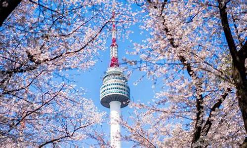 韩国旅游攻略自由行花费_韩国旅游攻略自由行花费多少钱